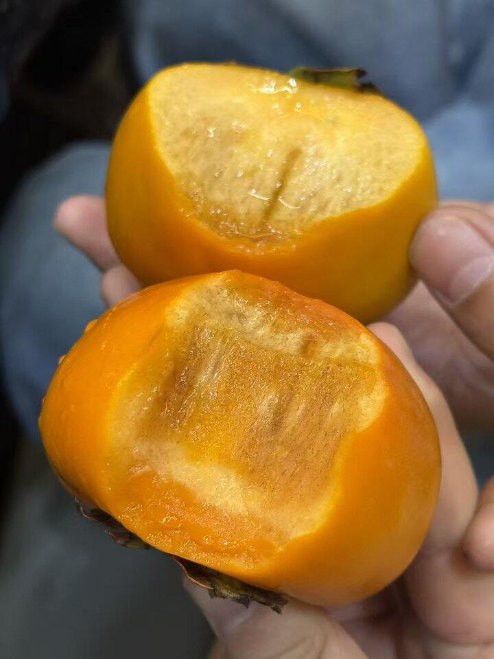 巧克力脆柿