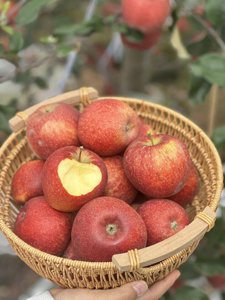 【响萃苹果】限时抢购29.9元/箱