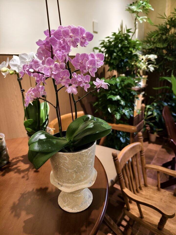 帅汤开店日记——第46天