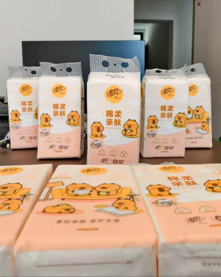 清风卡皮巴拉悬挂式抽纸