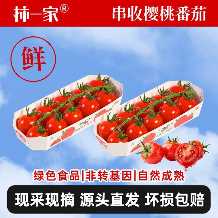 樱桃番茄4盒16.9
