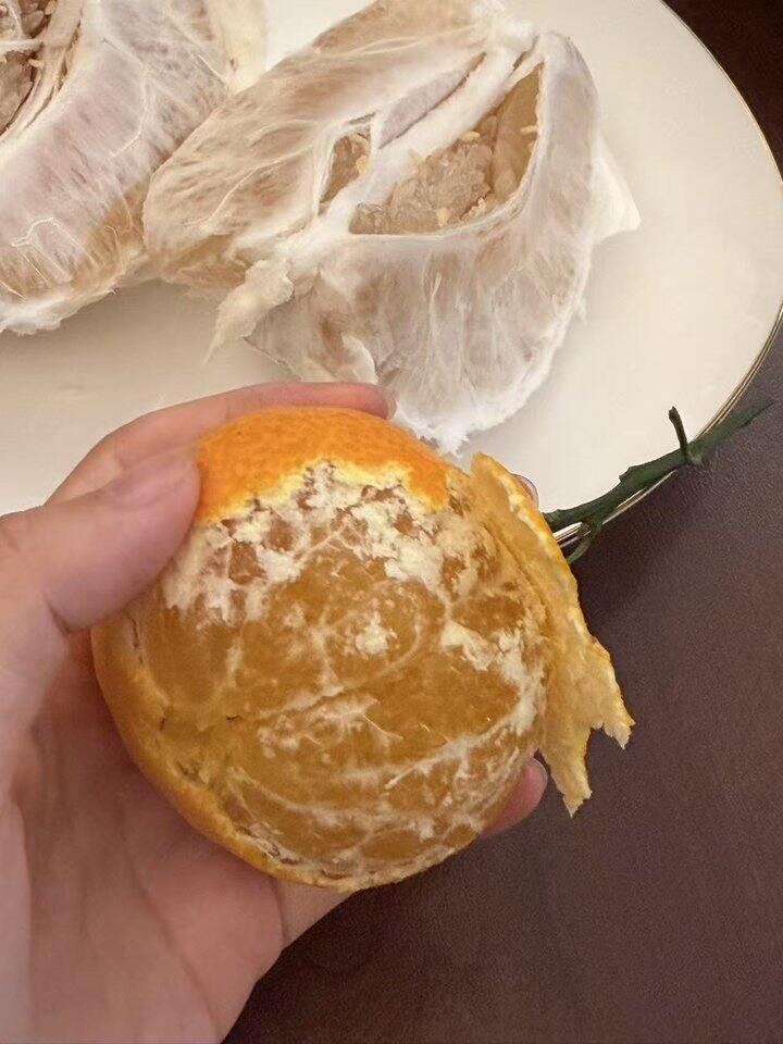 果冻橙