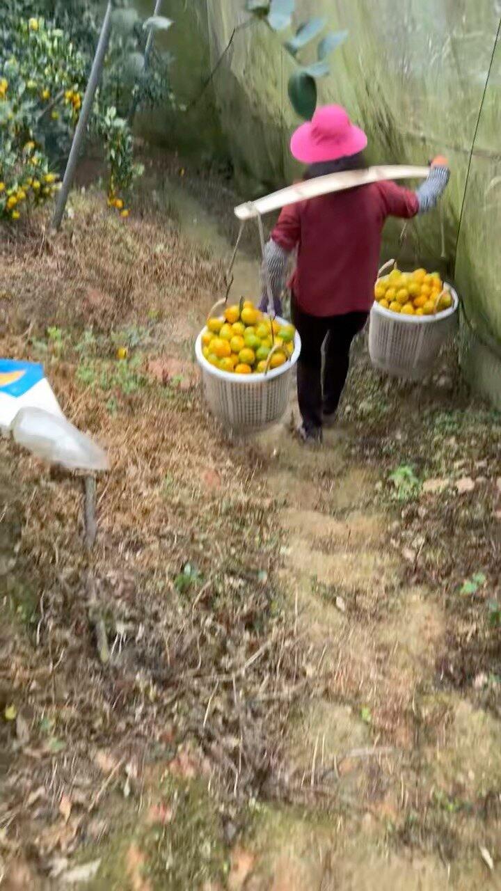 请允许我小小的嘚瑟一下