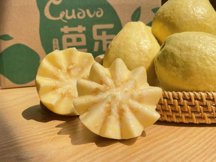 【黄金奶油芭乐】限时抢购18.8元/箱+赠送2包酸梅粉