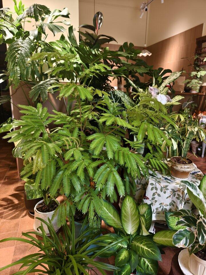 帅汤日记日记——第49天