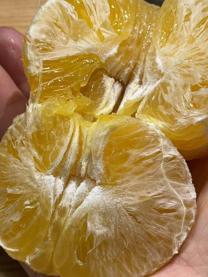 果冻橙子