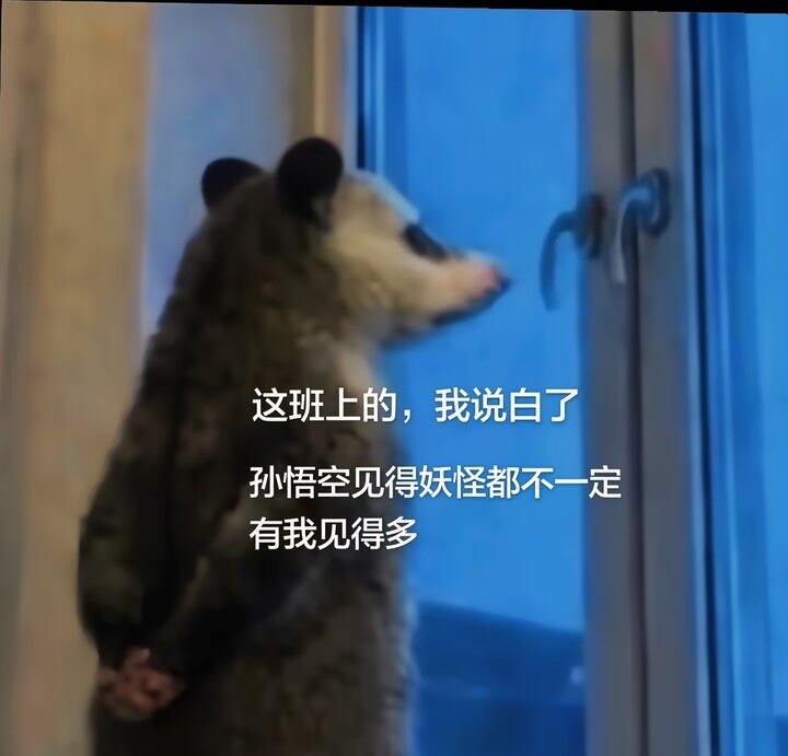 上班的我