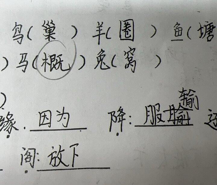 肉包记