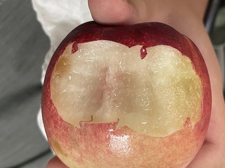 金秋蜜桃