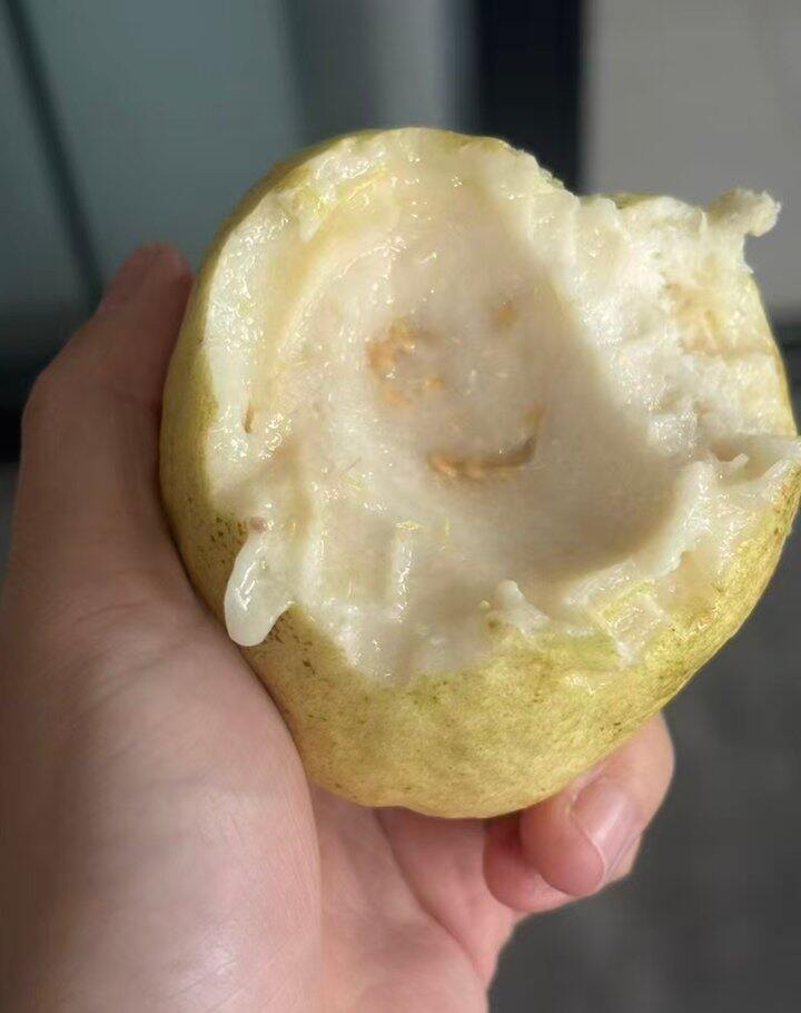 新鲜的芭乐