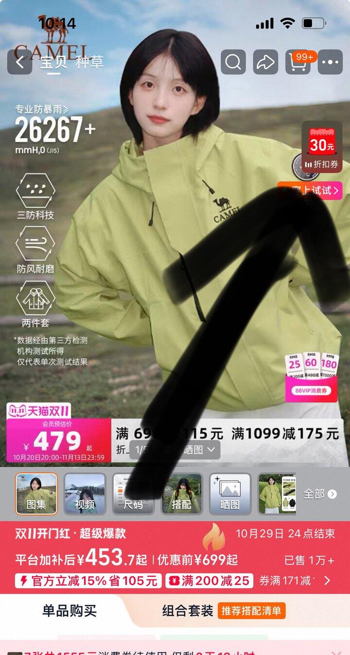 王者铠甲icon骆驼，296💰