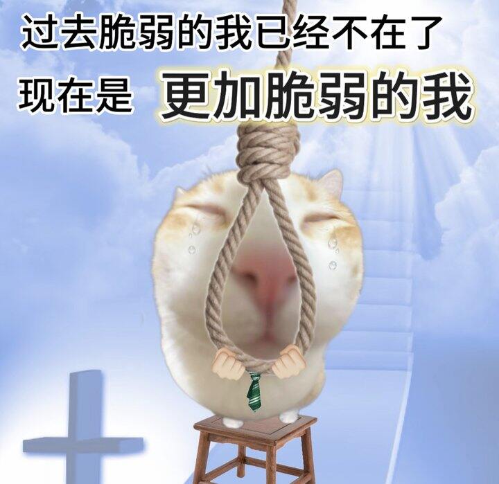 最近频繁接触日本男留学生
