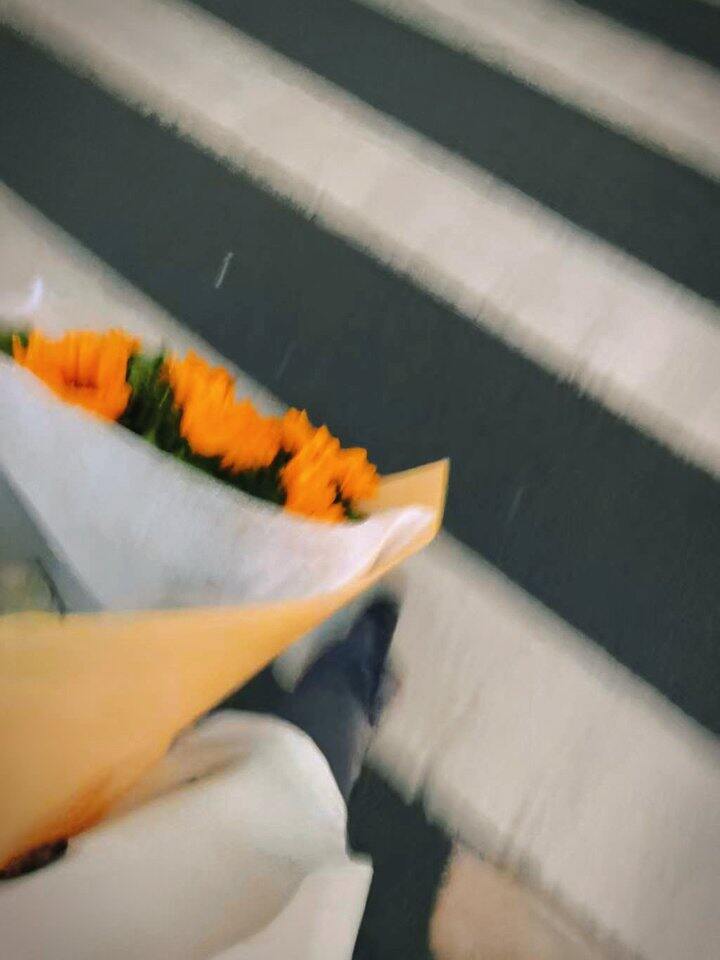 【随手拍】逛一逛花市