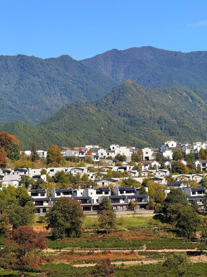 秋天啊秋天🍁