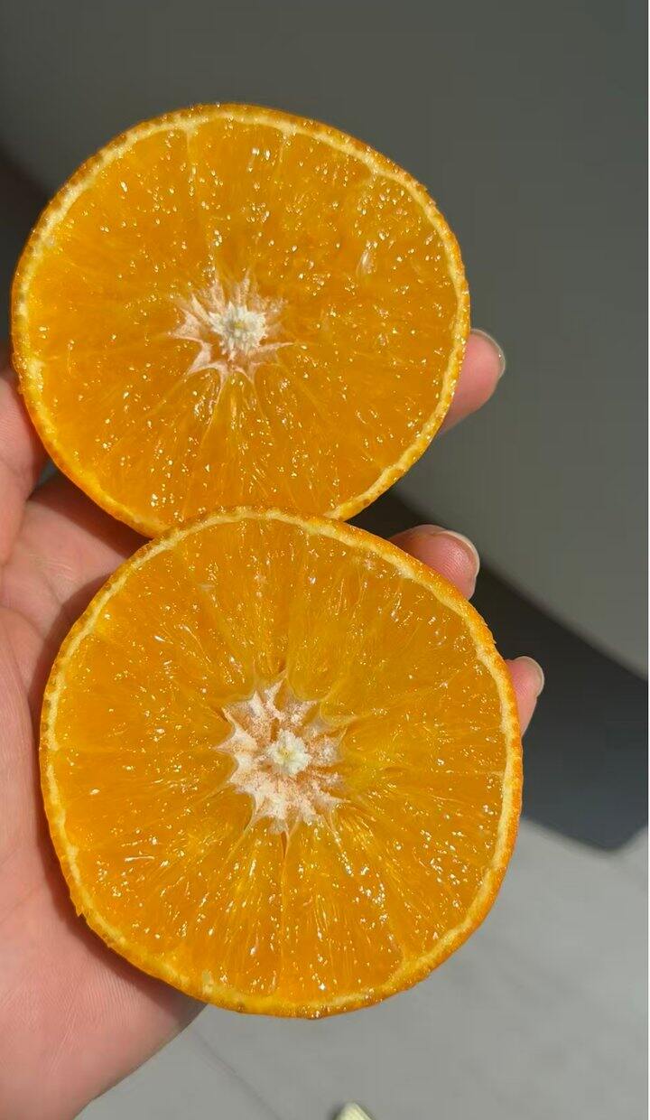 第二箱爱媛