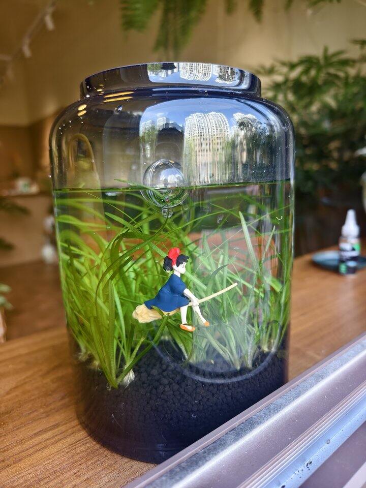 帅汤日记日记——第57天