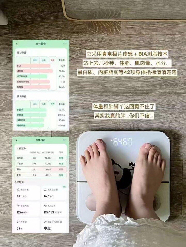 蚂蚁阿福智能体脂秤💰2.9