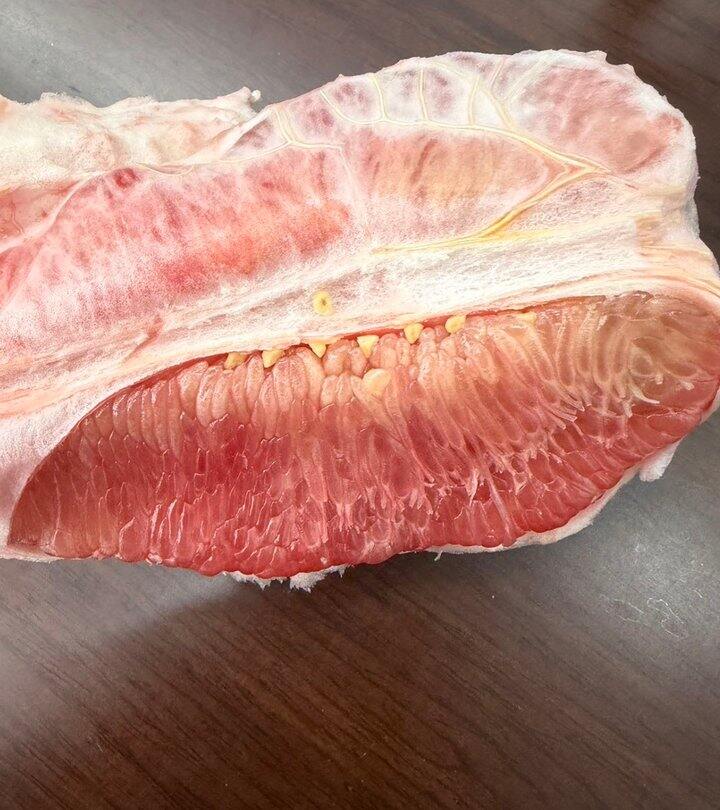 如果收到柚子干的情况 ，记得售后