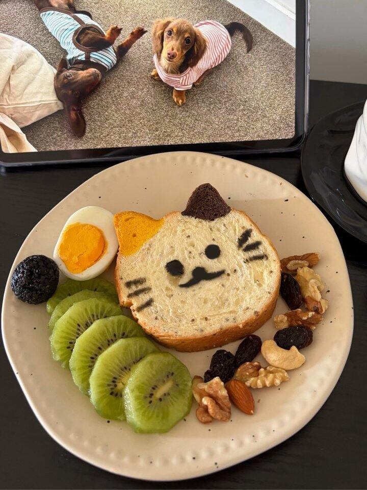 沪上阿姨猫咪吐司！💰1+