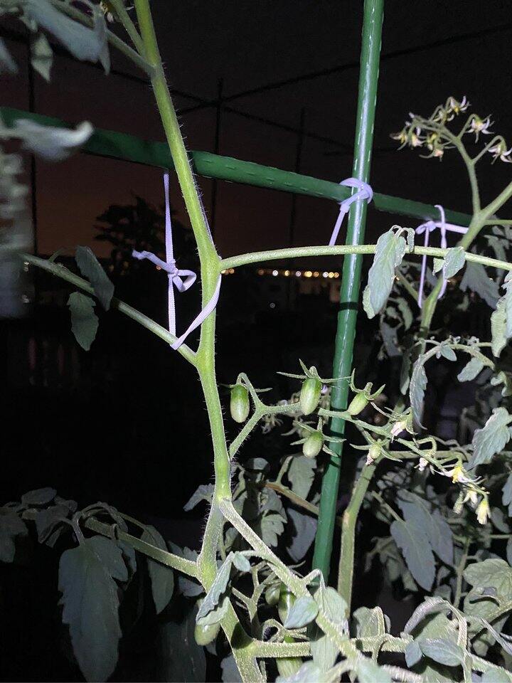 废物利用