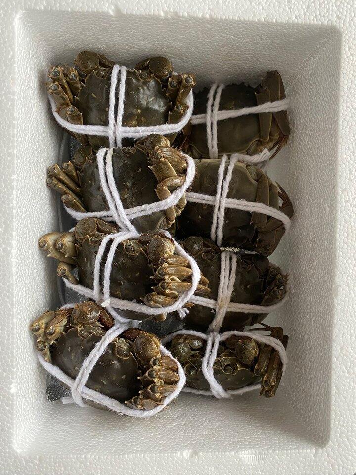 一人食6只装有需求不