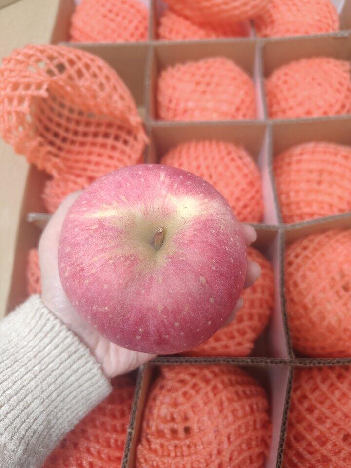 🍎🍎🍎