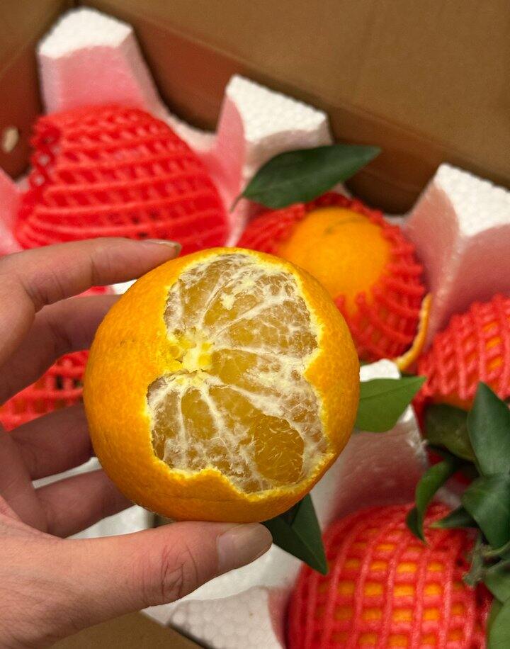 这次买的都还不错