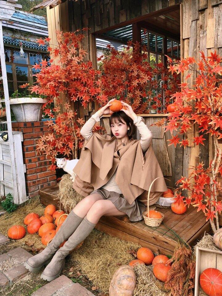 🍁