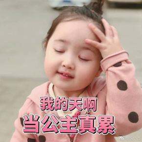 2019购物总结