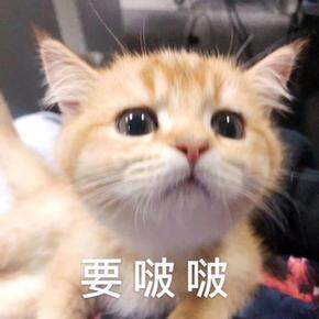 2020Q1购物总结