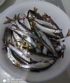 钓鱼🐟东西渔具合集,持续更新