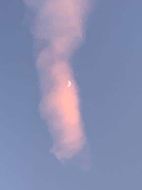 这一个月买了啥