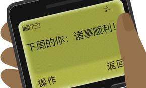 购物总结