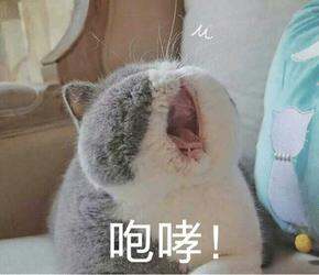 近期好物分享，想给你播种一片小青草～