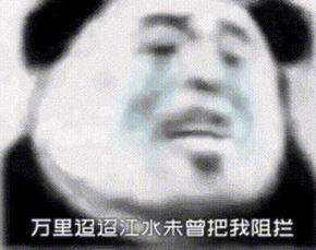 近期购物总结(三十八)