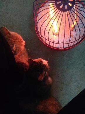 怕冷星人的购物分享