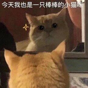 为了搬家买的东西