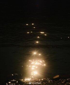 愿我如星君如月,夜夜流光相皎洁。