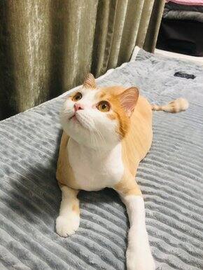 最近买的