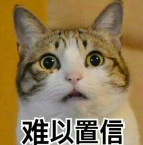 21年下半年购物总结