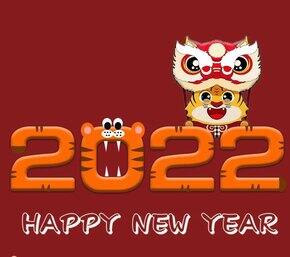 2021我买到了什么好登西!