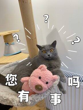 于2021年最后这一个月的购物