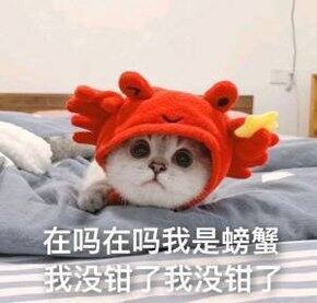 在2021年的最后一天总结一下今年的shopping