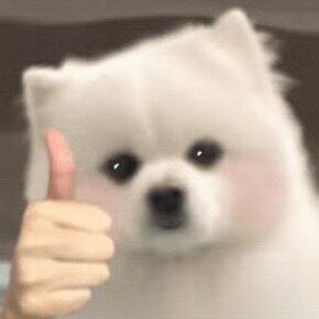 租房好物 | 一个人的浪漫