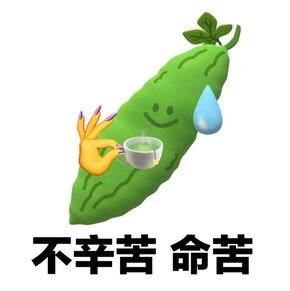 cc的4🈷️好物分享