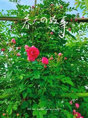 断舍离中 极简生活中