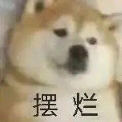 四月购物分享