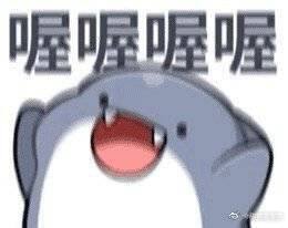 新的一年的买买买
