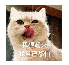 健身以来我都吃了啥