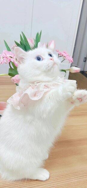 看看年中我又买了些什么好东西~